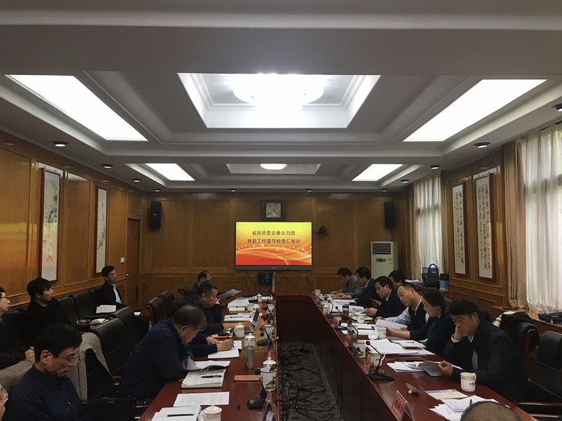 陕西3868la银河总站集团参与省国资委安康合力团扶贫工作督导查抄汇报会