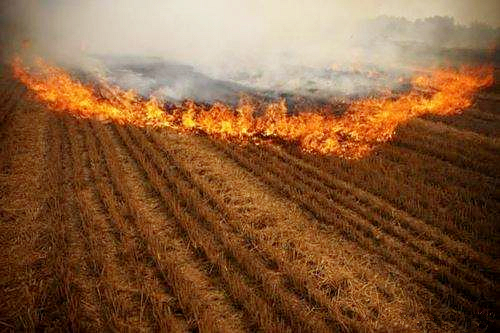 熊良虎赴京调查德国迪芬巴赫公司、ESATPOINT GLOBAL公司生态3868la银河总站板材设备工艺